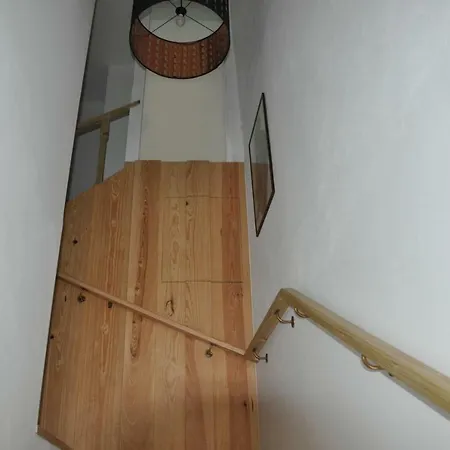 Hostel Eleven-3